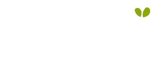 Bambino Lab